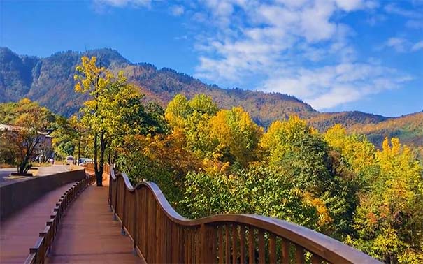 重庆周边旅游_[秋季]重庆周边瓦屋山+眉山水街+柳江古镇三日游<重庆周边三日游，秋季红叶旅游，游瓦屋山+眉山水街夜景+柳江古镇+东坡湿地公园+彝族新寨等！>