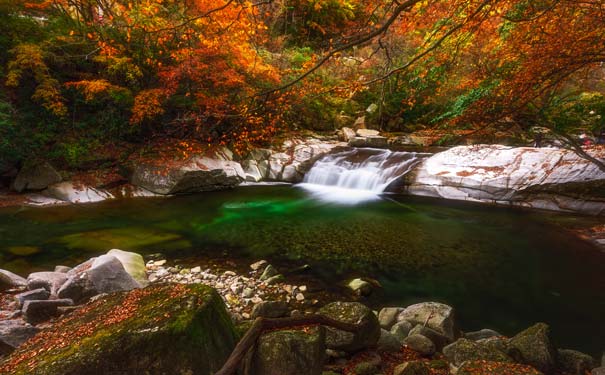 重庆到光雾山旅游_[秋季]重庆到光雾山+阆中古城三日旅游<光雾山旅游，重庆出发汽车往返光雾山三日游，秋季赏光雾山红叶，观天下红叶第一山胜景，游光雾山+阆中古城！>