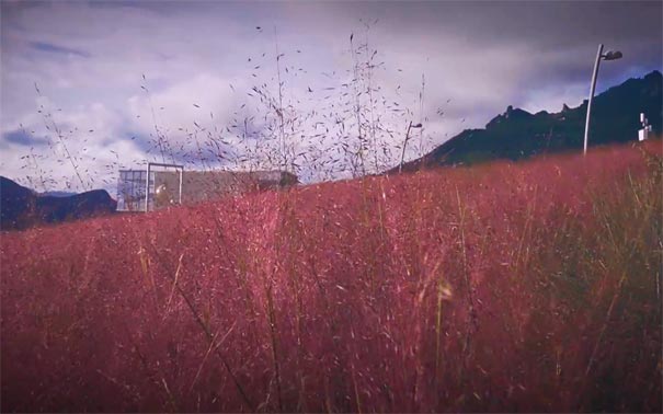 重庆出发摄影旅游_[秋季摄影]武隆懒坝+仙女山+银杏大道+诗意鸾珮二日游[纯玩]