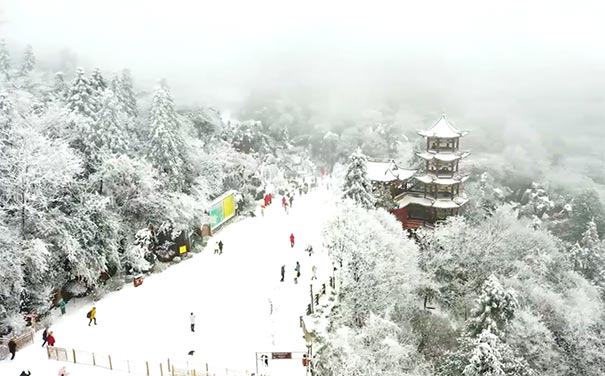 重庆周边旅游_[2021赏雪游]华蓥山赏雪一日游[赏雪/滑雪]<重庆赏雪旅游，冬季华蓥山赏雪一日游，全程0购物0会销，赠送暖宝宝+手套，游雪中仙境华蓥山！>