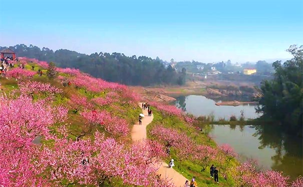 重庆到永川旅游_[踏青赏花]重庆周边永川圣水湖桃花岛+松溉古镇一日游<重庆周边一日游，2024春季赏花踏青，游永川圣水湖桃花岛+松溉古镇！>