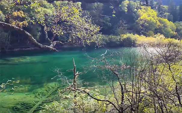 重庆到九寨沟旅游_[人间仙境]重庆自驾九寨沟+若尔盖草原+嫩恩桑措神仙池四日游