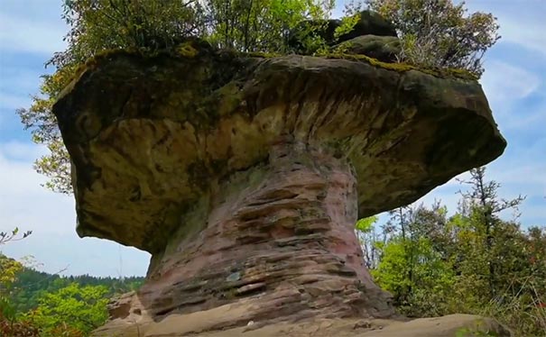 [纯玩]重庆綦江高庙坝+牯牛背+狮子山二/四日旅游重庆旅游，纯玩周边二日游，綦江高庙坝+牯牛背+狮子山避暑旅游，全程0购物0自费0会销！