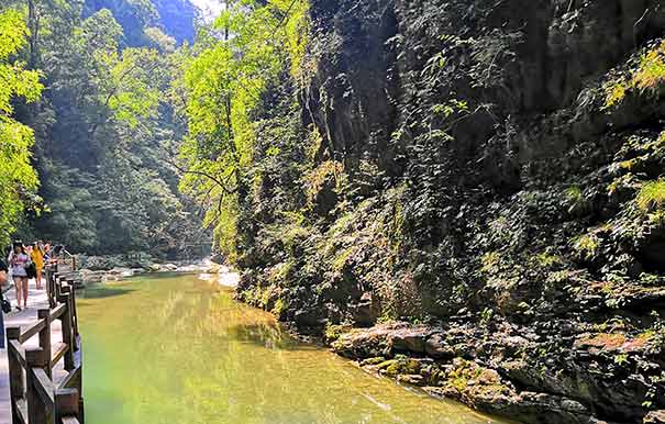 重庆周边旅游_[纯玩]重庆黑山谷避暑四日旅游[20℃黑山谷避暑]<黑山谷旅游，重庆避暑四日游，享受20℃黑山谷清凉，含黑山谷门票+免费机票+免费KTV+3晚住宿+6正餐3早餐！>