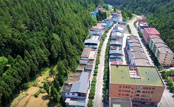 [避暑游]重庆武陵山大木乡避暑四日旅游