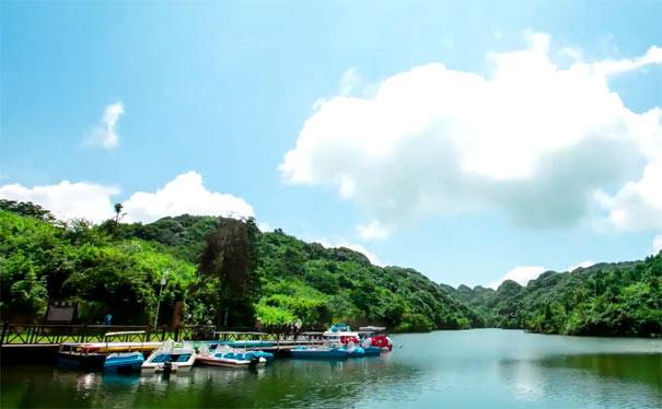 重庆出发避暑旅游_[纯玩]重庆武隆仙女山+丰都南天湖二日旅游[夏季避暑]<重庆二日游，高山森林草原与湖泊避暑，纯玩0购物0自费，游丰都南天湖高山湖泊+武隆仙女山国家森林公园高山草场！>