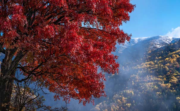 重庆出发秋叶旅游_[秋季自驾]重庆自驾川西毕棚沟+奶子沟三日游<重庆秋季自驾游，环线自驾川西三日赏秋景，游川西奶子沟+毕棚沟+甘堡藏寨+黑水彩林，领略川西秋季彩林之美！>