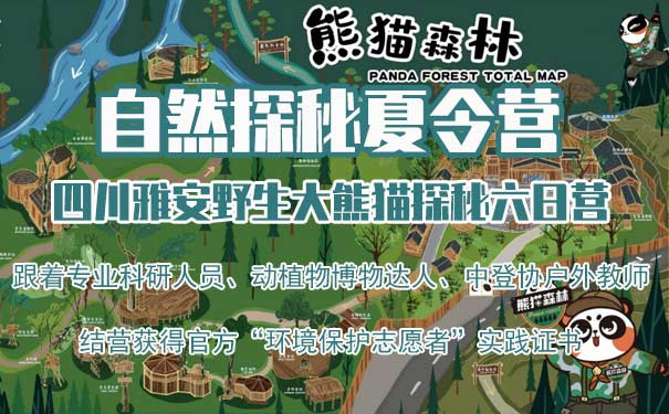 重庆出发主题旅游_[熊猫夏令营]2023四川雅安大熊猫森林探秘六天夏令营<2023四川雅安大熊猫森林探秘六天夏令营，探秘大熊猫生存环境+野生食堂+人与自然+独特大熊猫探秘玩法，获得环境保护志愿者实践证书！>