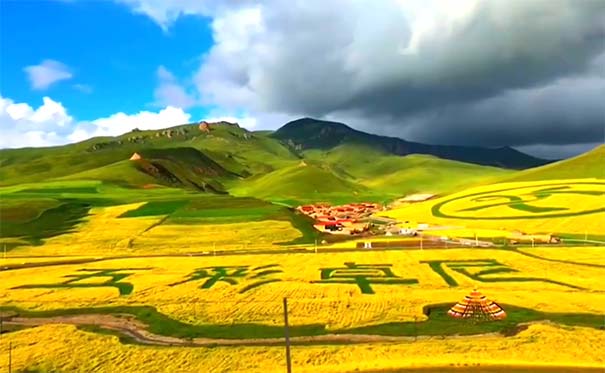 重庆到甘南旅游_甘南+川西自驾五日旅游[若尔盖草原+甘加草原+拉卜楞寺+白石崖+八角城]<重庆自驾旅游，川西自驾五日，游甘加秘境：若尔盖草原+甘加草原+桑科草原+白石崖+八角城+拉卜楞寺+卓尼油菜花+大峪沟等！>