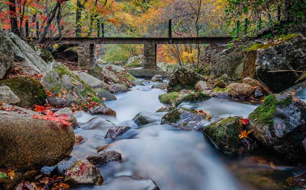 重庆到光雾山旅游_[纯玩]光雾山米仓山+恩阳古镇+汉人老家三日旅游<光雾山旅游，重庆出发秋季汽车三日，纯玩0购物0自费景点，游米仓山国家森林公园+恩阳古镇+汉人老家街+川陕革命根据地！>