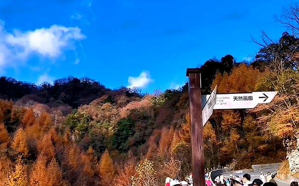 重庆到四川旅游_[摄影小团]重庆到光雾山四日旅游[米仓山+十八月潭+周子古镇]<光雾山旅游，秋季纯玩四日摄影旅游，2~6人小包团，赏秋景游光雾山米仓山国家森林公园+十八月潭+周子古镇等！>