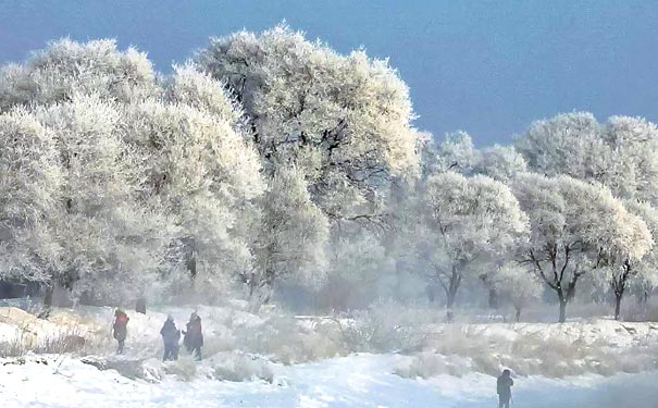 重庆出发冰雪旅游_[冬季冰雪]东北吉林长白山+延吉+图们六日旅游[0购物]<冬季东北旅游，冰雪吉林六日，纯玩0购物，游长白山+图们+延吉，含2晚温泉酒店+长白山滑雪，2+1陆地头等舱！>