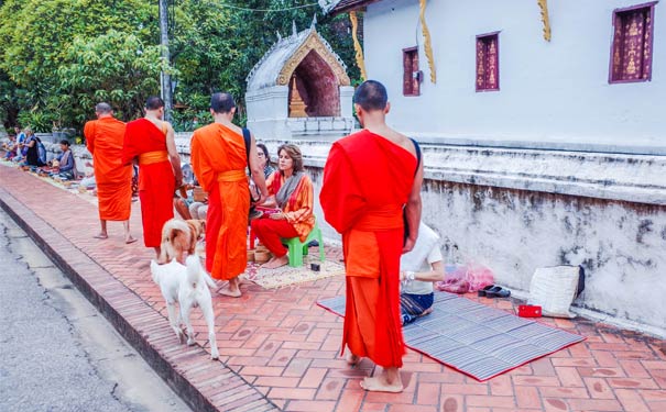 重庆出发休闲旅游_[高铁+动车]西双版纳+老挝琅勃拉邦八日旅游<西双版纳老挝旅游，琅勃拉邦2晚特色民宿+4晚西双版纳景洪酒店，僧侣布施+光西瀑布+普西山+野象谷+原始森林公园+磨丁！>