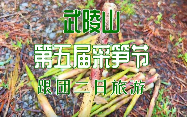 重庆周边二日游_[挖笋]重庆武陵山第三届采笋节二日游[亲子跟团]<重庆周边春季旅游，2024第五届武陵山国家森林公园采笋节开幕，含武陵山森林公园+采笋节体验+全笋宴！>