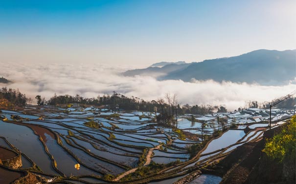 重庆到红河州旅游_[红河大环线]云南普者黑+元阳+红土地+建水+蒙自九日旅游[纯玩摄影]<摄影纯玩重庆到云南旅游，火车往返九日，游昆明+建水古城+元阳梯田+蒙自碧色寨+弥勒+普者黑+红土地等！>